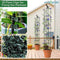 Klimplanten Obelisk Set van 2- Verstelbare hoogte tot 145 cm - Plant Ondersteuning - Inclusief Plant Clips