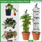 Klimplanten Obelisk Set van 2- Verstelbare hoogte tot 145 cm - Plant Ondersteuning - Inclusief Plant Clips