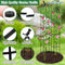 Klimplanten Obelisk Set van 2- Verstelbare hoogte tot 145 cm - Plant Ondersteuning - Inclusief Plant Clips