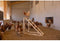 Klimtoren voor kippen - KERBL - 85 x 55 x 76 cm - Met schommel - Robuuste ladder