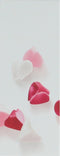 Escada Celebrate N.O.W. - Escada Celebrate Now - 30 ml - eau de parfum spray - damesparfum