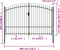 vidaXL - Poort - met - puntige - bovenkant - dubbel - 3x2 - m - staal - zwart