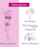 RS - Icons - Femsation