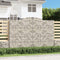 vidaXL - Schanskorven - 2 - st - gewelfd - 300x50x200/220 - cm - ijzer