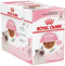 Royal Canin Kitten - Katten Natvoer in Gravy - 12 x 85 gr