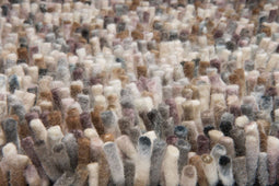 Vloerkleed Brink & Campman Rocks Beach Sand 70528 - maat 200 x 300 cm
