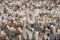 Vloerkleed Brink & Campman Rocks Beach Sand 70528 - maat 200 x 300 cm