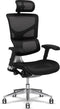 X-Chair bureaustoel X2 Zwart met hoofdsteun