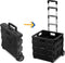 Ceruzo Trolley - Boodschappen Trolley met Vouwkrat - 30L 2 Wielen Inklapbaar Zwart