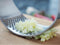 Knoflookpers | Kruidenpers | Koken, bakken, braden | Keuken | Keukengerei | kookbenodigdheden | Huishoudelijk | RVS | Huishouden | Vaatwasserbestendig