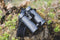 Bresser Verrekijker - Pirsch-ED 10x42 - Waterdicht