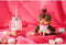 Knuffel Bandai Monchhichi