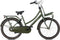 Popal Daily Dutch Basic+ N3 - Kinder Transportfiets - 24 Inch - Legergroen