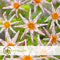 Plant in a Box - Dahlia 'Destiny's Teacher' - set van 3 - zomerbloeiers - dahliaknollen - tuinbloemen - Wit/Paars/Geel