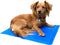 Koelmat Hond - Koelmat Kat - Koelmatten Voor Honden - Koelmat Voor Katten - Koeling Mat Voor Huisdieren - 50 x 40 CM - Maat M