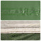 vidaXL - Kampeerluifel - waterdicht - 400x294 - cm - groen