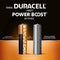 Duracell Alkaline Batterijen Plus 120 AA - 12 stuks