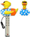 Kokido Thermometer Eend