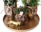 Kolibri Company | Complete Planten set Face-2-face goud | Groene planten set met witte Phalaenopsis Orchidee en Rhipsalis incl. keramieken sierpotten & accessoire