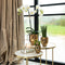 Kolibri Company | Complete Planten set Face-2-face goud | Groene planten set met witte Phalaenopsis Orchidee en Rhipsalis incl. keramieken sierpotten & accessoire