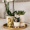 Kolibri Company | Gift set Luxury Living | Plantenset met witte Phalaenopsis Orchidee en Succulenten incl. keramieken sierpotten -