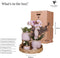 Kolibri Company | Gift set Romantic| Plantenset met roze Phalaenopsis Orchidee en Succulenten incl. keramieken sierpotten -