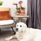 Kolibri Home | Complete Planten set Scandic terracotta op plate willow | Groene planten set met oranje Phalaenopsis Orchidee en Succulenten incl. keramieken sierpotten