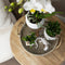 Kolibri Orchids | Complete plantenset Face-2-Face wit | Groene planten met witte Phalaenopsis orchidee in Scandic wit sierpot en Face-2-Face witte sierpotten incl. accessoires