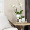 Kolibri Orchids | Complete plantenset Face-2-Face wit | Groene planten met witte Phalaenopsis orchidee in Scandic wit sierpot en Face-2-Face witte sierpotten incl. accessoires