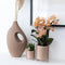 Kolibri Orchids | Geurende phalaenopsis orchidee - Fragrance salmon - potmaat Ø9cm | bloeiende kamerplant - vers van de kweker
