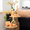 Kolibri Orchids | Oranje Phalaenopsis orchidee - Mineral Bolzano + Rolling peach - potmaat Ø9cm | bloeiende kamerplant - vers van de kweker -