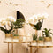 Kolibri Orchids | witte Phalaenopsis orchidee - Jewel Greenland - potmaat Ø9cm - 30cm hoog | bloeiende kamerplant - vers van de kweker