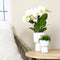 Kolibri Orchids | witte Phalaenopsis orchidee - Jewel Greenland - potmaat Ø9cm - 30cm hoog | bloeiende kamerplant - vers van de kweker