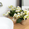 Kolibri Orchids | Witte phalaenopsis orchidee - Lausanne - potmaat Ø9cm | bloeiende kamerplant - vers van de kweker