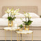 Kolibri Orchids | Witte phalaenopsis orchidee - Lausanne - potmaat Ø9cm | bloeiende kamerplant - vers van de kweker