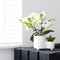 Kolibri Orchids | Witte phalaenopsis orchidee - Lausanne - potmaat Ø9cm | bloeiende kamerplant - vers van de kweker