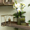 Kolibri Orchids | Witte phalaenopsis orchidee - Lausanne - potmaat Ø9cm | bloeiende kamerplant - vers van de kweker