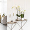 Kolibri Orchids | Witte Phalaenopsis orchidee Niagara Fall Pure Silk in zilverkleurige Luxury sierpot - Ø12cm