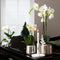 Kolibri Orchids | Witte Phalaenopsis orchidee Niagara Fall Pure Silk in zilverkleurige Luxury sierpot - Ø12cm