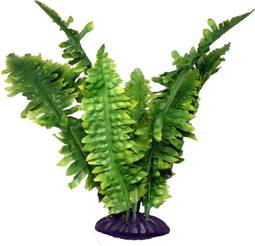 Komodo Boston Varen - 25 cm