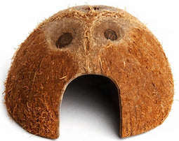 Komodo - Coconut Den