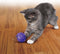 Kong Cat Treat Ball Paars - Balletje - 166mm x 102mm x 54mm - Paars