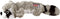 Kong Scrunch Knots Wasbeer M - Kauwspeelgoed - 458 mm x 110 mm x 84 mm - Multi