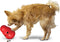 Kong Snack Dispenser Wobbler - Speelgoed Hond - maat S - 15 cm - Rood