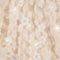 Konges Slojd Fleur Dress Jurken Meisjes - Rok - Jurk - Beige - Maat 104