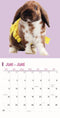 Konijnen Studio Kalender 2025