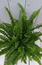 Koningsvaren zwarte/antraciete pot 30 cm