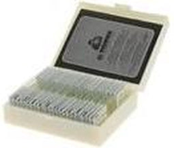 Konus Preparaten Set Voortplanting Van Planten (10 Stuks)