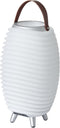 Kooduu Synergy 35 - Wijnkoeler met Bluetooth Speaker én LED Lamp - 41 cm - Dimbaar - Oplaadbaar - Party Speaker - Speakerlamp