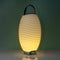 Kooduu Synergy 50 Lamp En Speaker